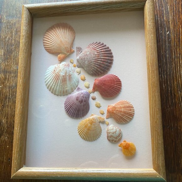 Scallop Shell Framed Wall Art Decor 10"x 14" - Picture 3 of 3